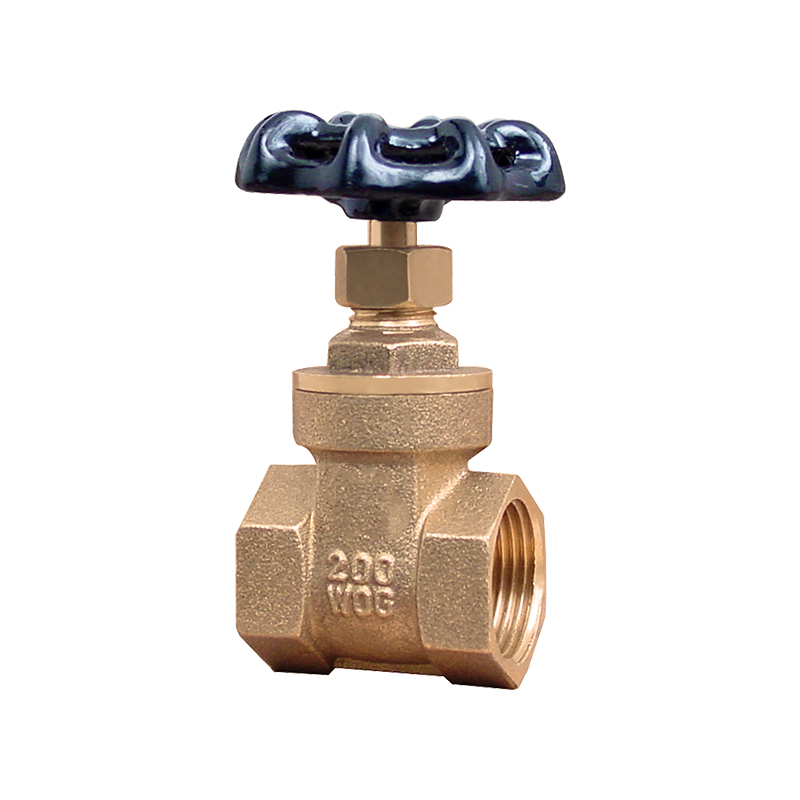 Válvula (llave) de globo