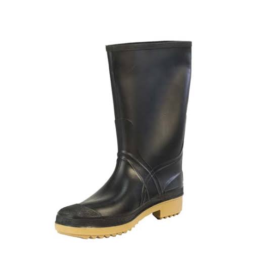 Botas
